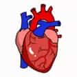 Rhesus Medicine course badge