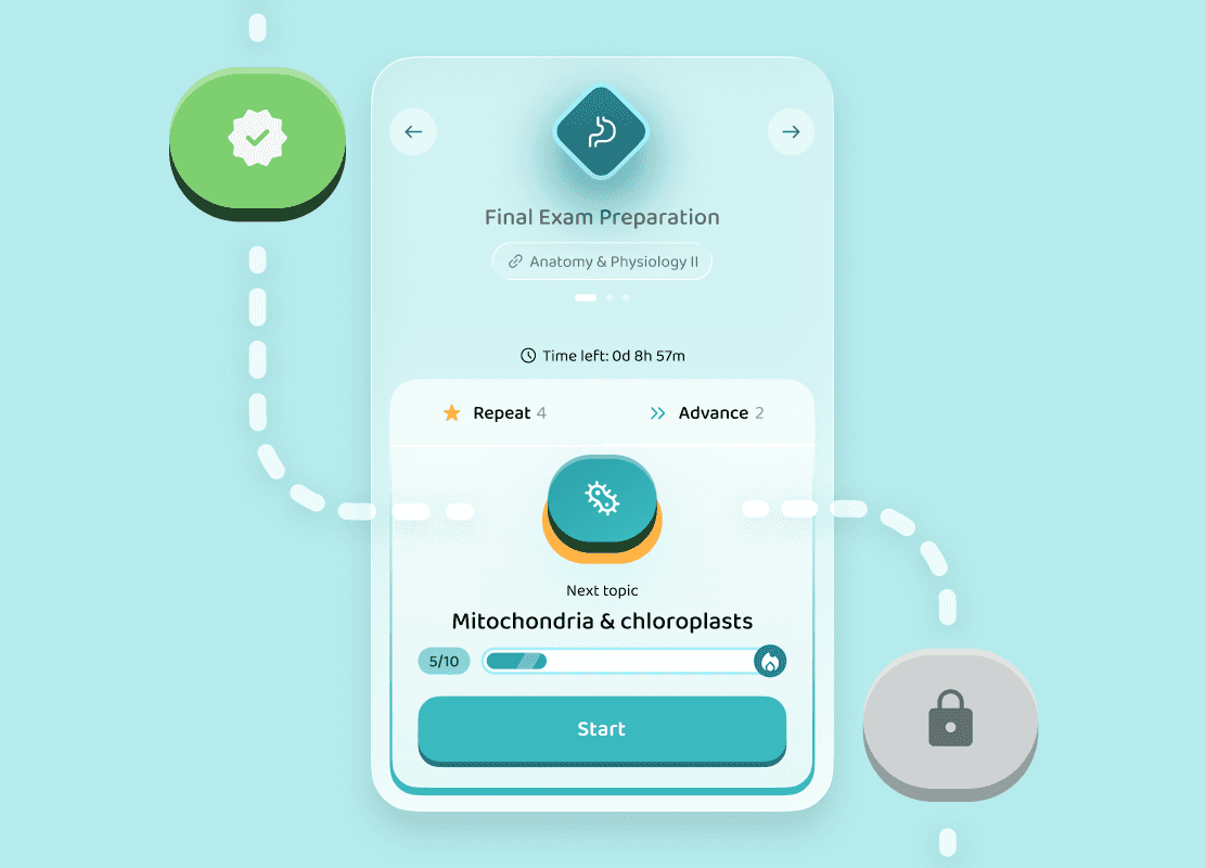 Learning journey visual