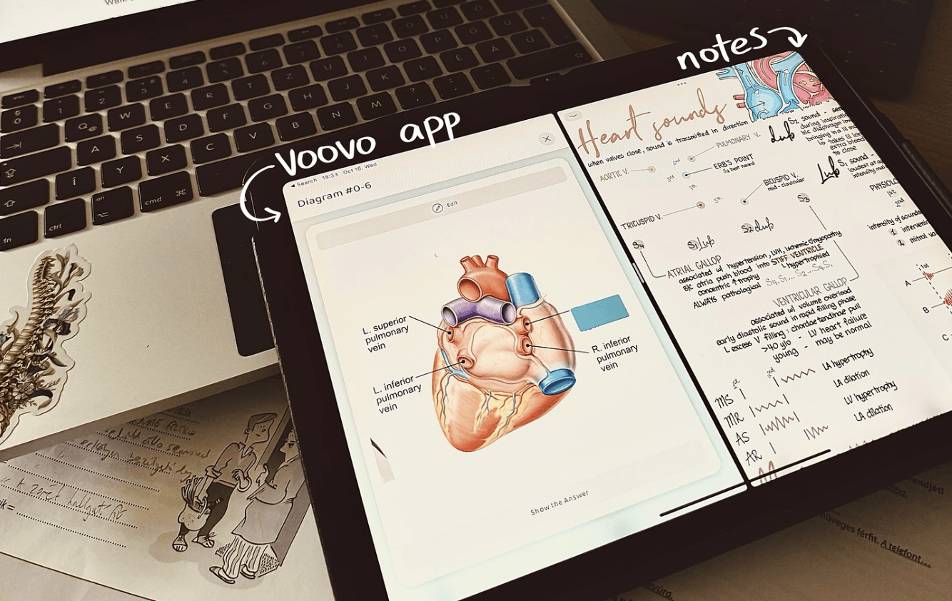 Image Occlusion as an essential tool for academic success