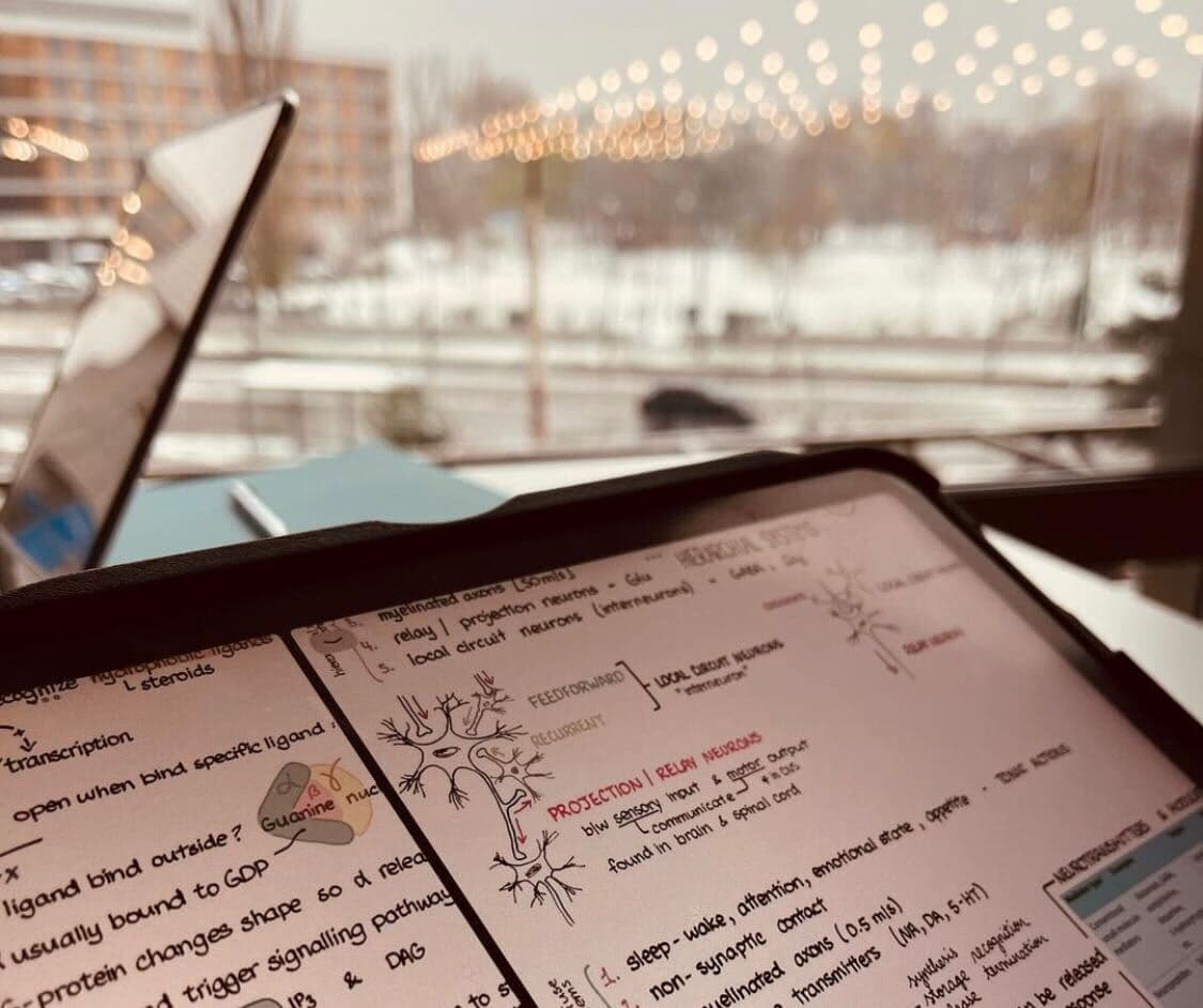 Tips on getting back on track with studies🚀