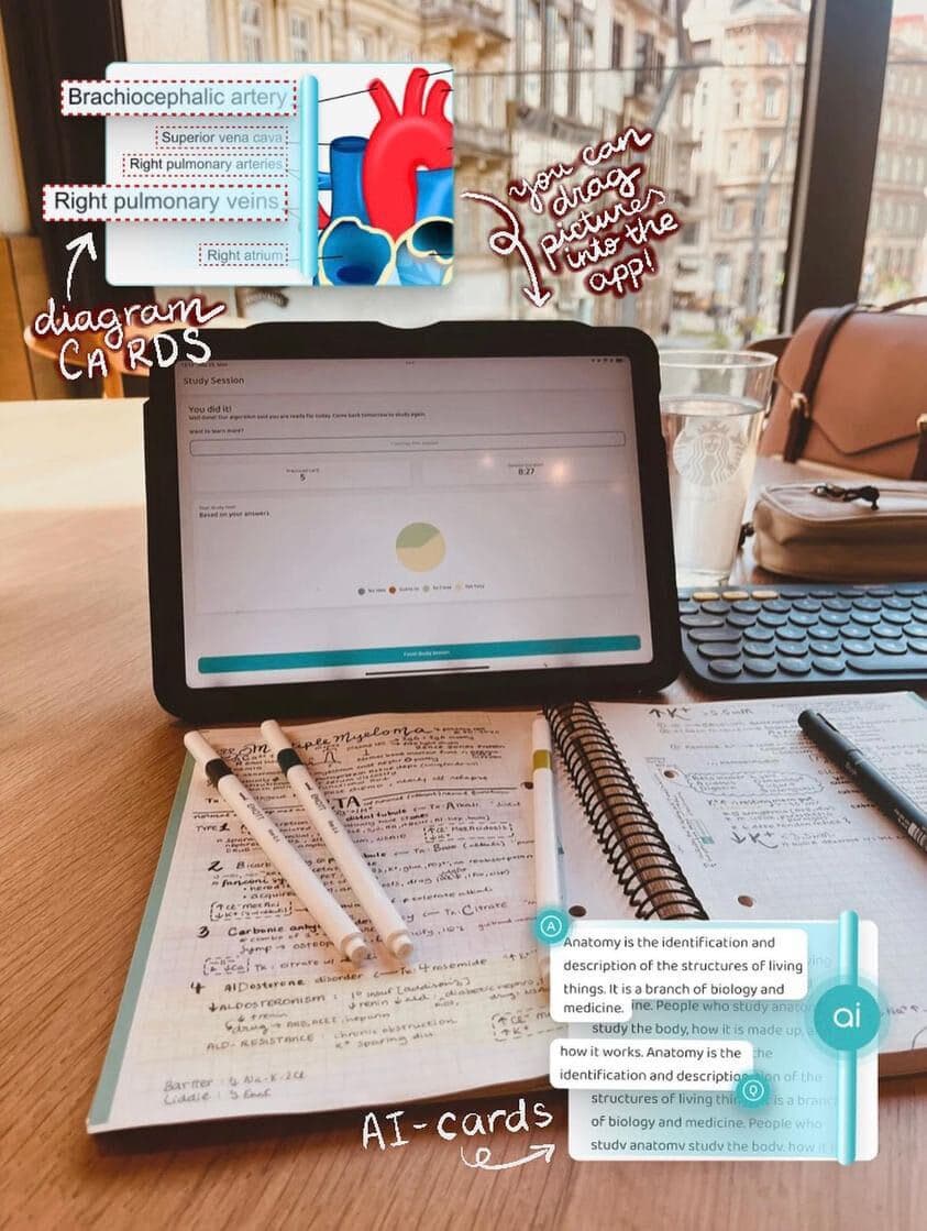 Tips on getting back on track with studies🚀