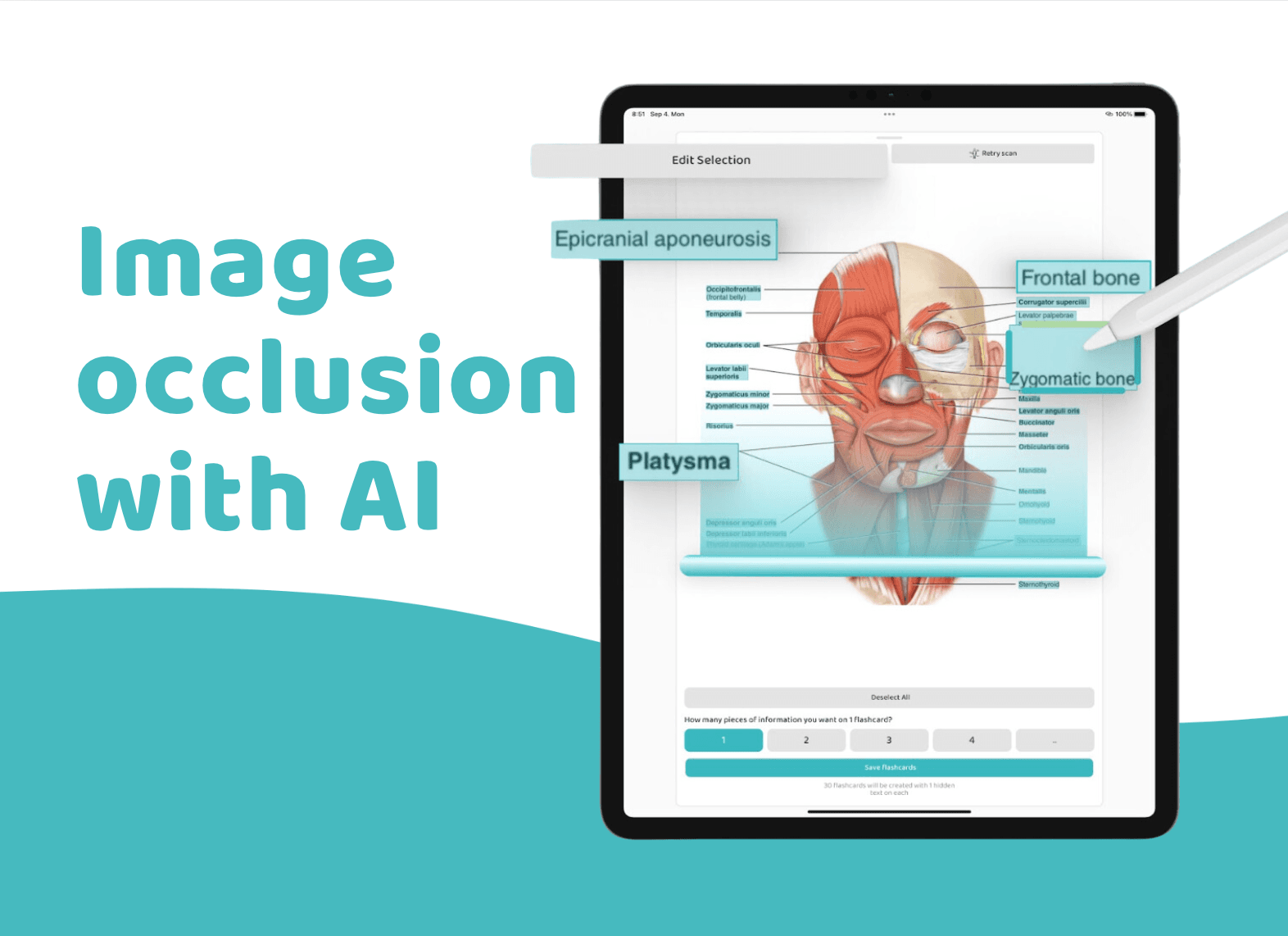 Automatic image occlusion flashcards: the secret weapon in your studies