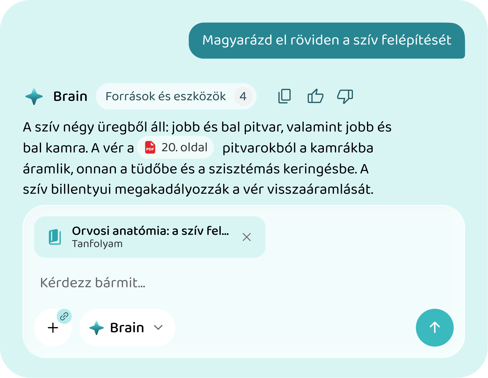 AI válasz a túlélőkönyv anyagából a Voovo appban