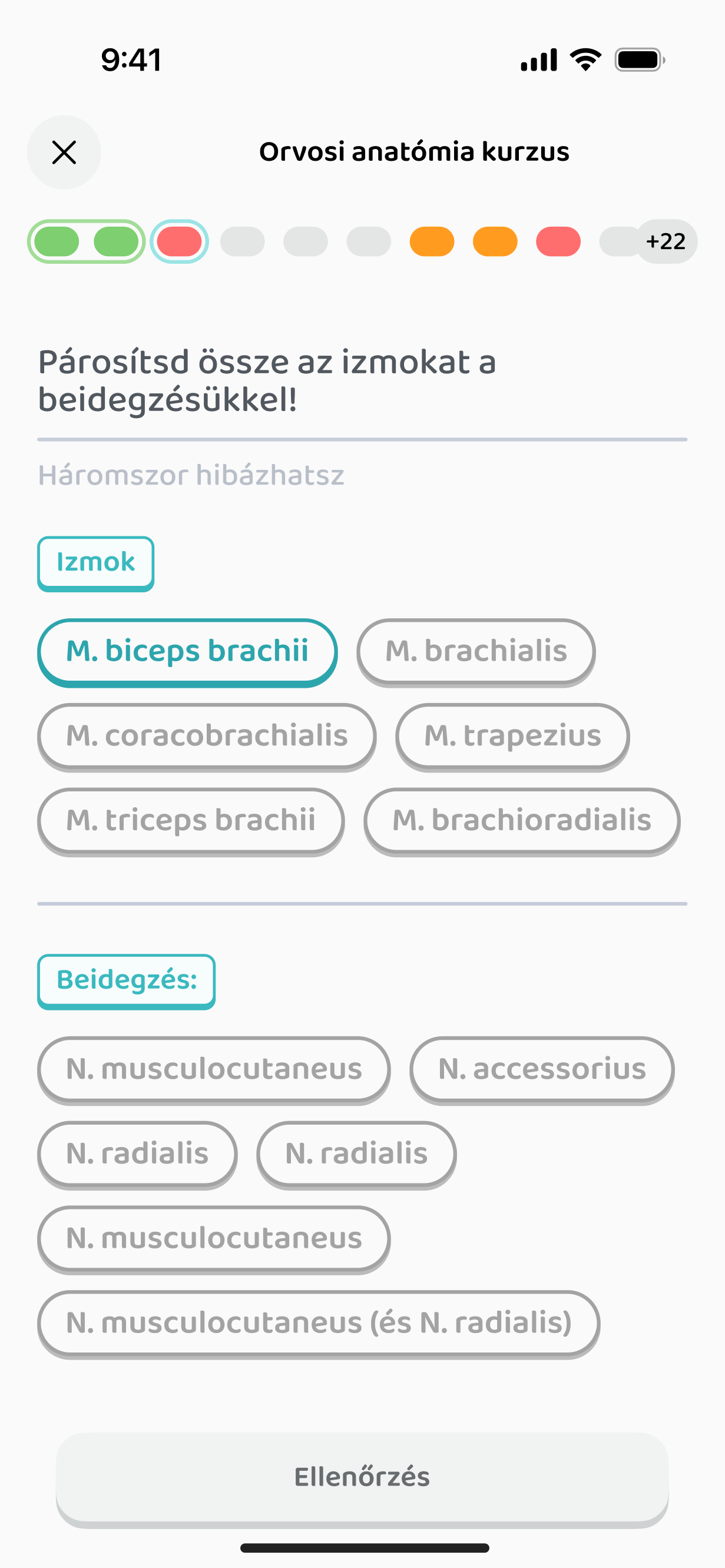 Párosítós feladat: izom és beidegzés