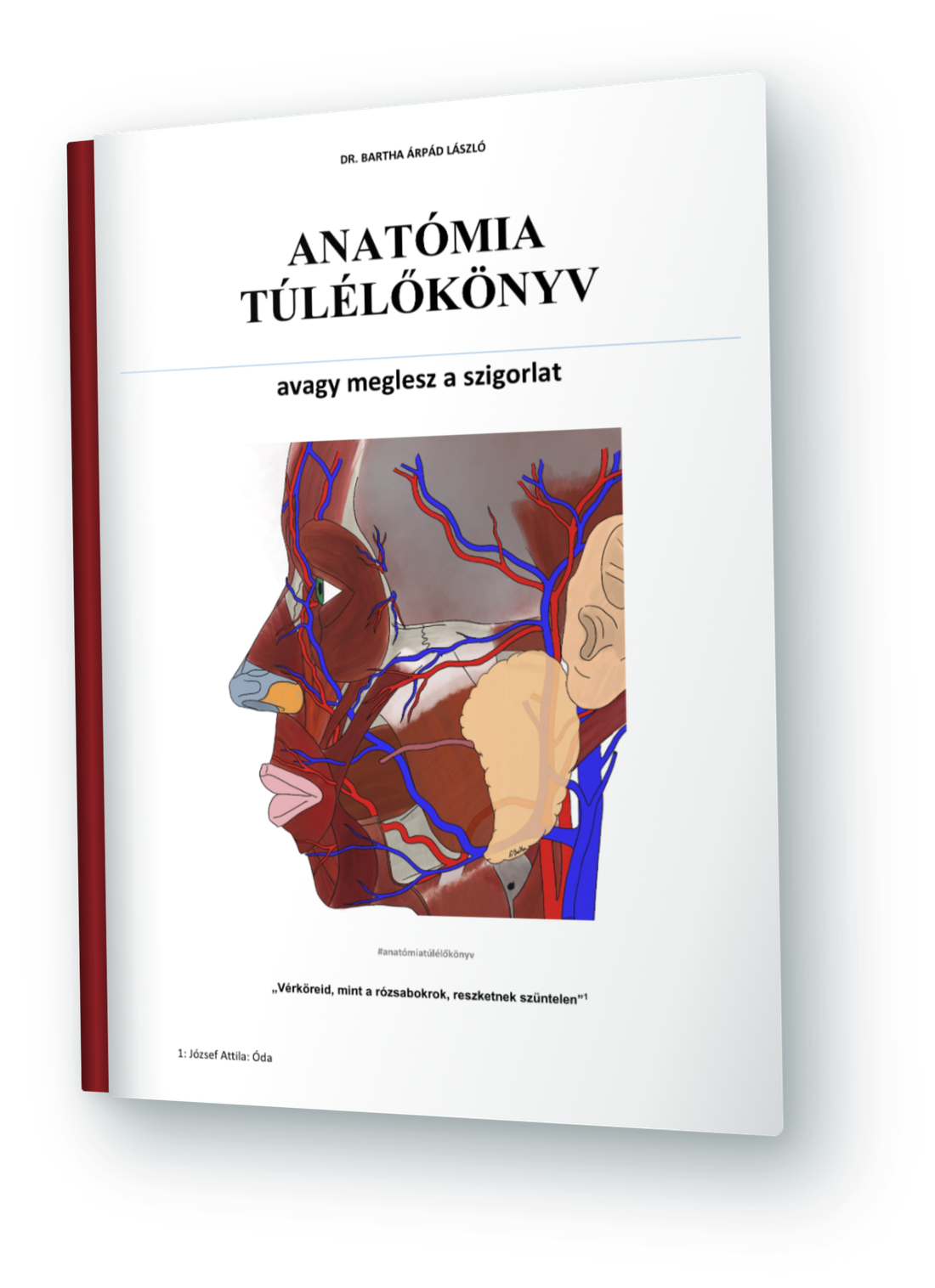 Az Anatómia Túlélőkönyv borítója