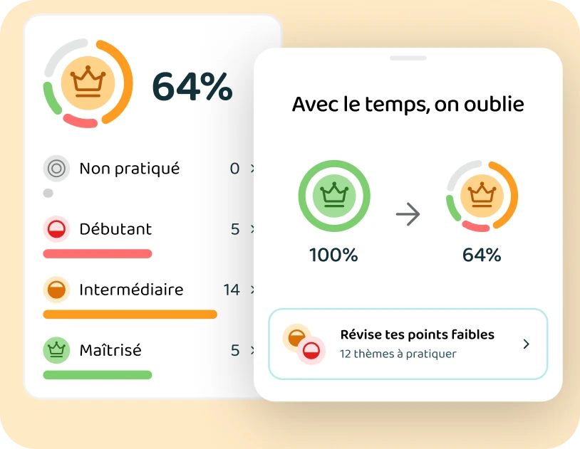Les niveaux de maîtrise et les thèmes à revoir