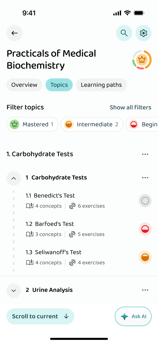 The course's topics, filtered by mastery level