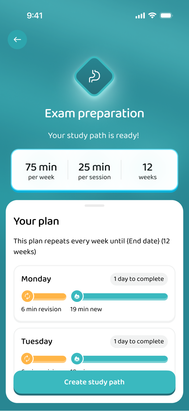 The finished study plan, summarised