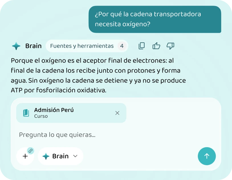 Brain explica por qué la cadena transportadora necesita oxígeno