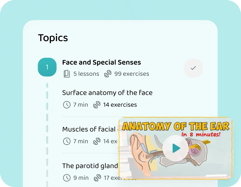 The Face and Special Senses topic in the app, with its lessons and my video on the ear