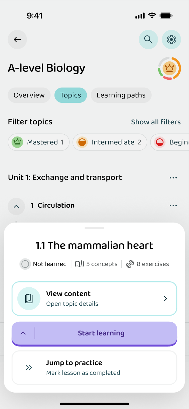 Starting a lesson inside a topic