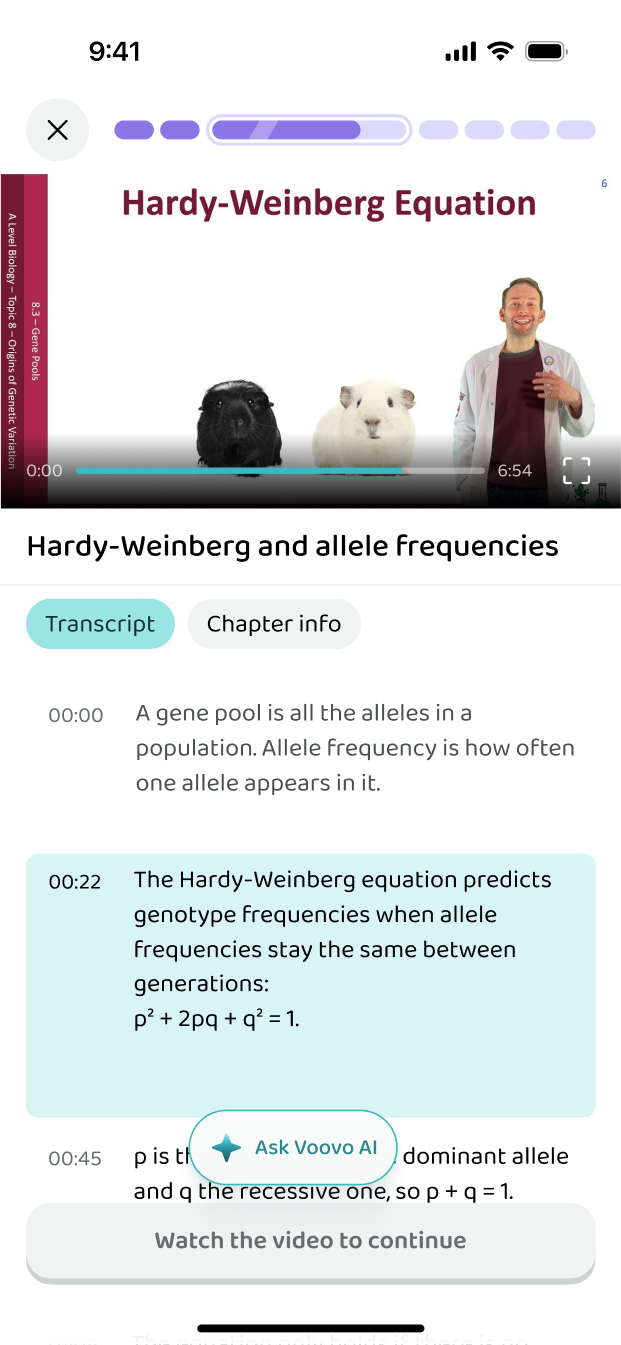A video lesson with its transcript