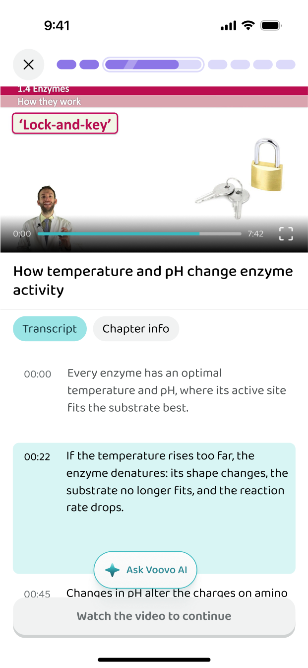 A video lesson with its transcript