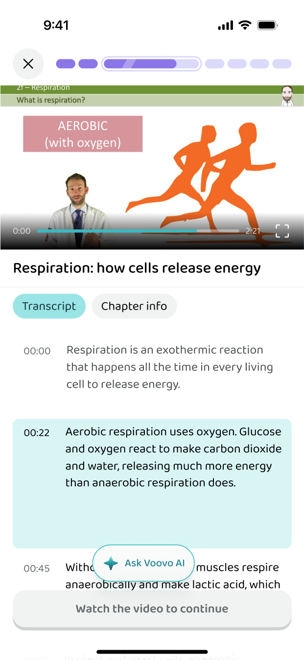 A video lesson with its transcript