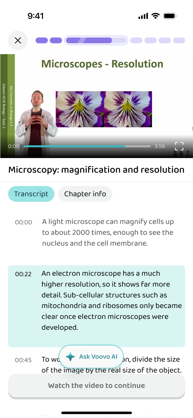 A video lesson with its transcript