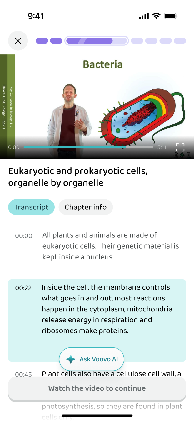 A video lesson with its transcript