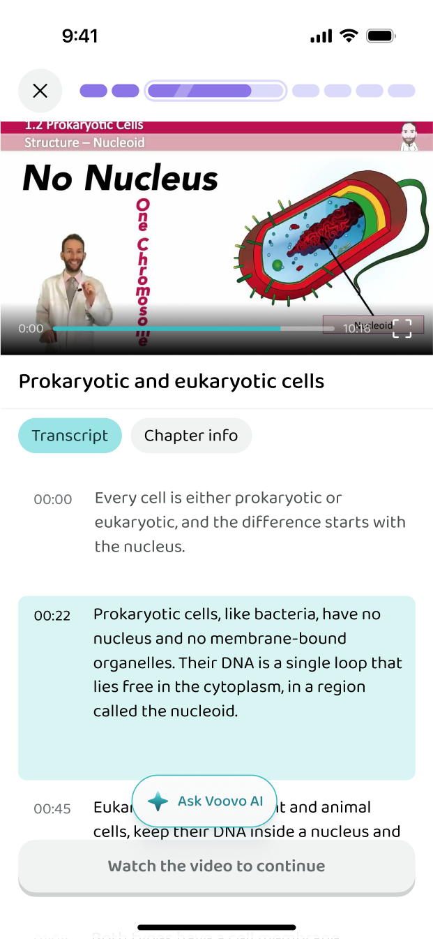 A video lesson with its transcript