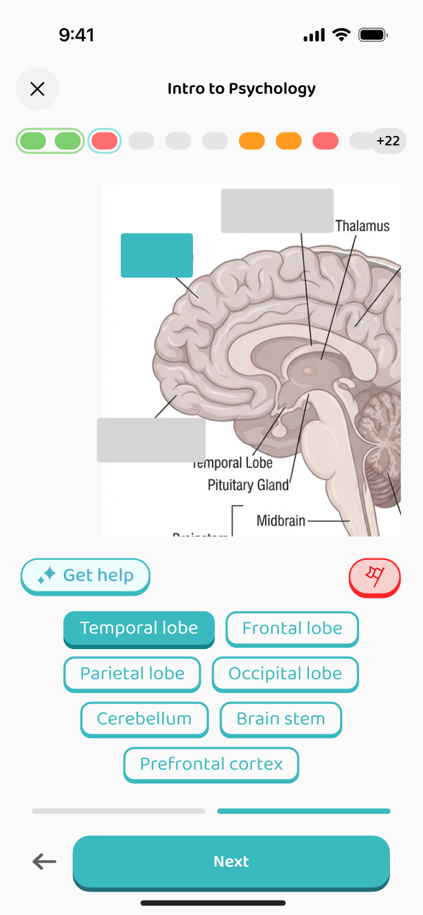 Labelling a diagram of a neuron