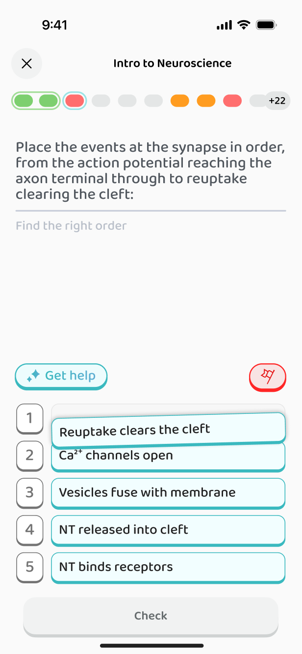Ordering the events at a synapse
